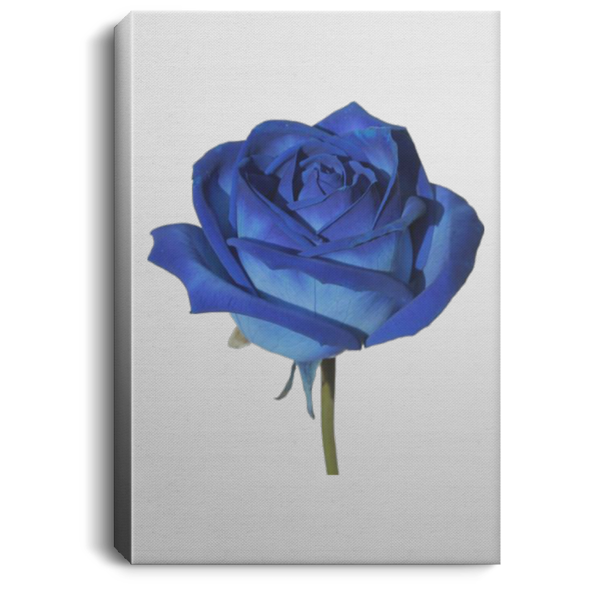 Blue Rose Portrait Canvas .75in Frame
