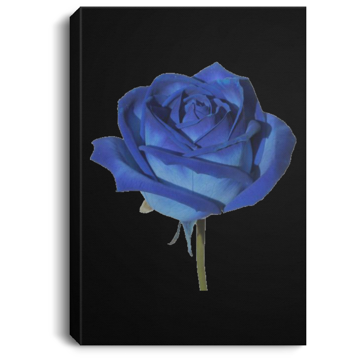 Blue Rose Portrait Canvas .75in Frame