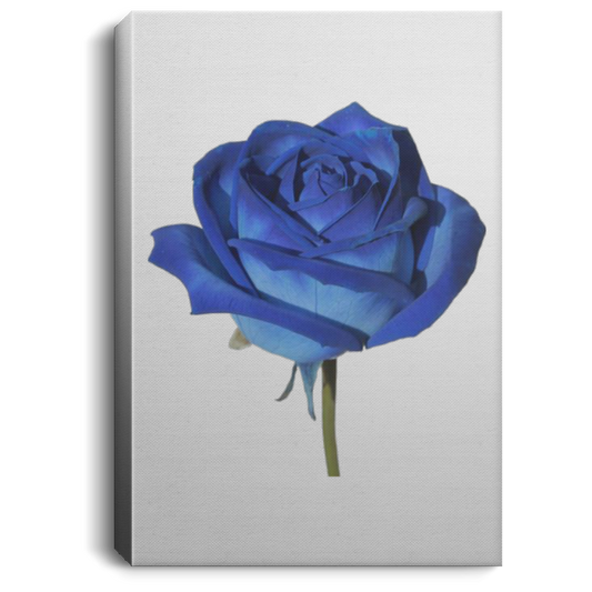 Blue Rose Portrait Canvas .75in Frame