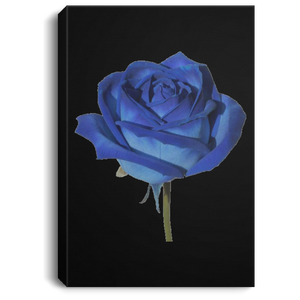 Blue Rose Portrait Canvas .75in Frame