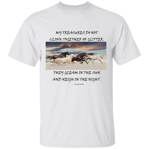 Horse treasures t-shirt